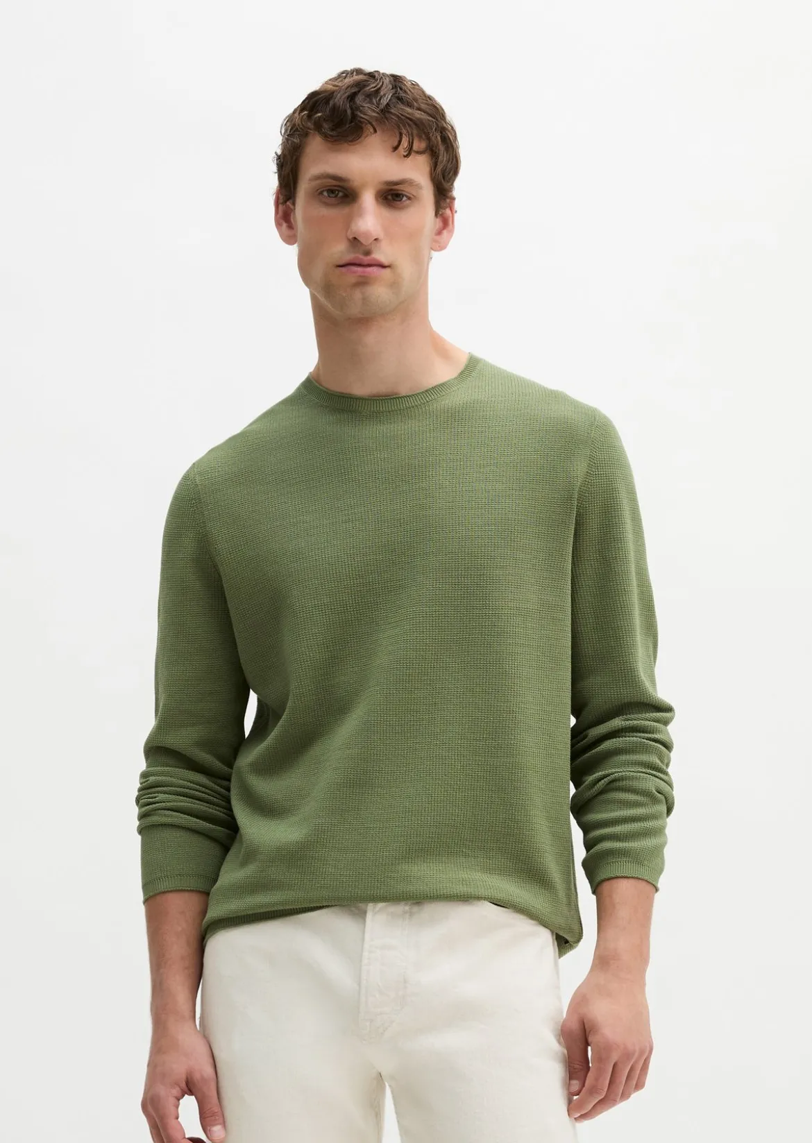 Pullover regular aus reiner Bio-Baumwolle