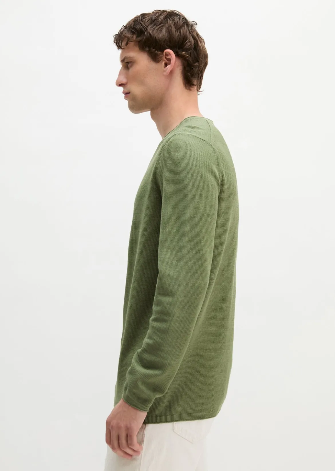 Pullover regular aus reiner Bio-Baumwolle
