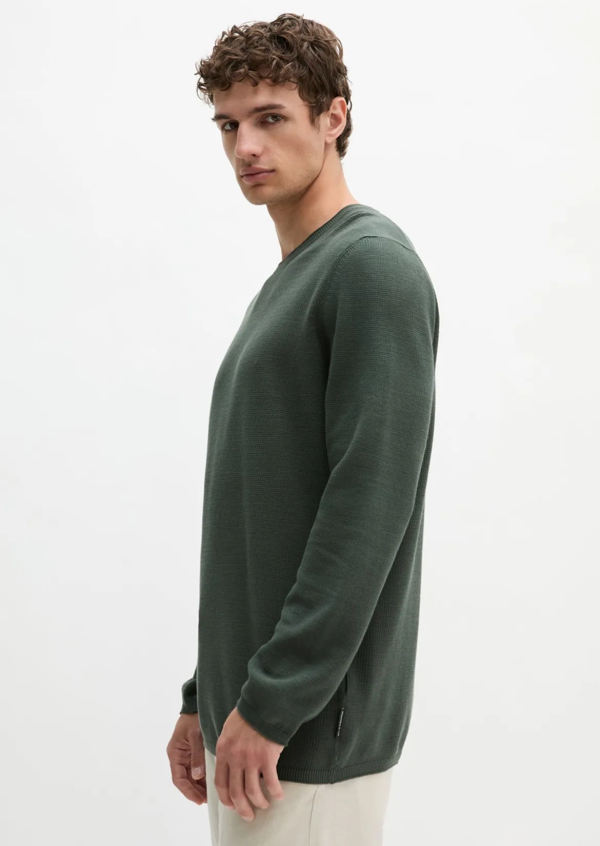 Pullover regular aus reiner Bio-Baumwolle