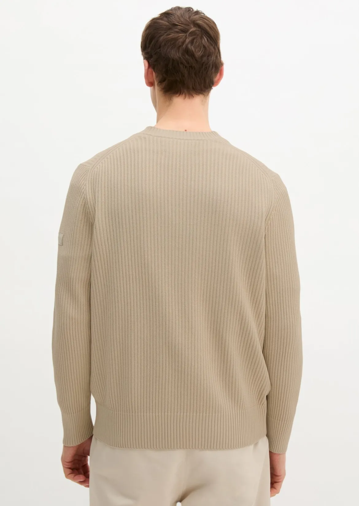 Pullover regular aus reiner Bio-Baumwolle